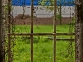 Draußen ist das Gras so schön grün