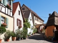 Burkheim im Kaiserstuhl