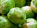 Rosenkohl