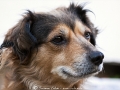 Unsere liebe KImba
