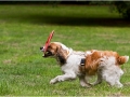 comp_img_0524