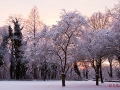 Winterstimmung auf dem Kaiserberg