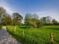 Friemersheimer Rheinaue