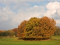 Bad Salzuflen