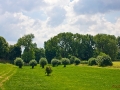 Rheinaue bei Düsseldorf-Kaiserswerth