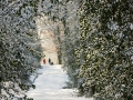Winterwald