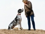 Lizzy und Kimba am Rhein