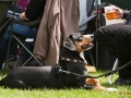 Entlebucher und Bier