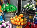 Tulpen aus Amsterdam