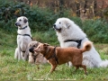 Gruppenfoto