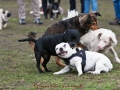 Zwei rechts, zwei links