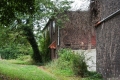 Hinterhofidylle im Abrissgebiet Bruckhausen